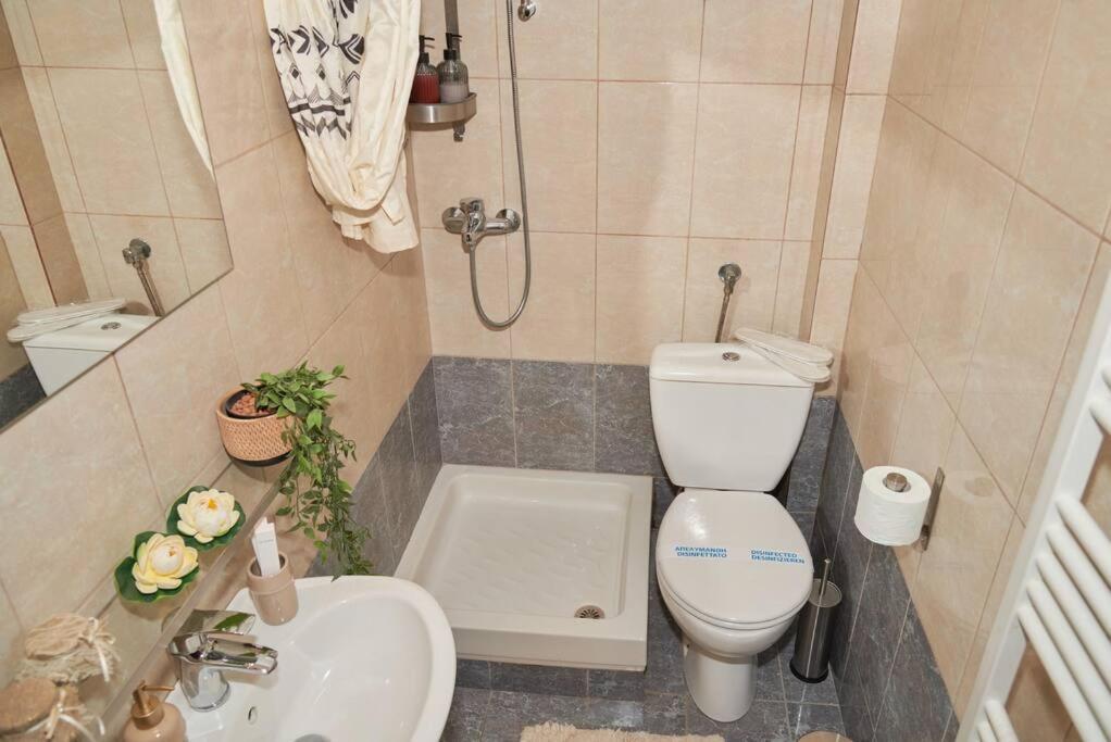 Florina Modern Studio Εξωτερικό φωτογραφία